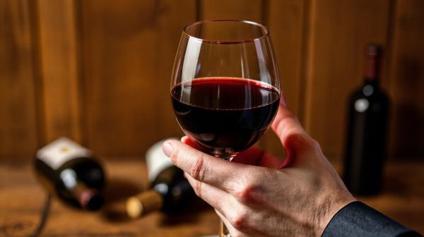 Les arômes du pinot noir cuir : changements et conseils